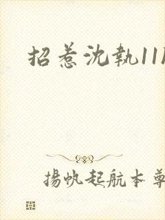 招惹沈执11h