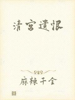 清宫遗恨封面