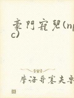 豪门宠儿(npc)