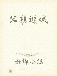 父亲进城