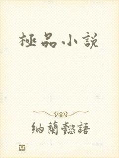极品小说