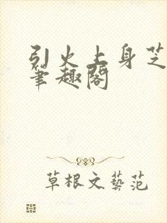 引火上身芝麻糖笔趣阁