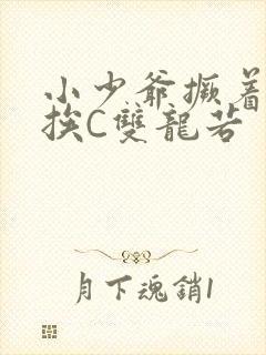 小少爷撅着屁股挨C双龙若封面