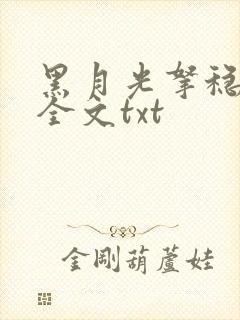 书籍封面