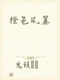 橙色风暴封面