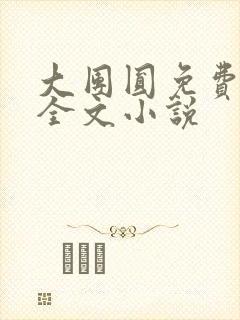 大团圆免费阅读全文小说封面