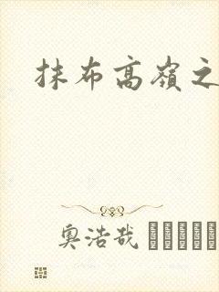 抹布高岭之花