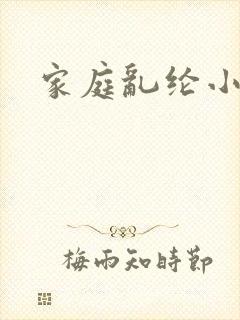 家庭乱纶小说封面