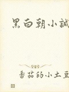 黑白朝小诚
