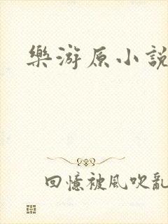 乐游原小说封面