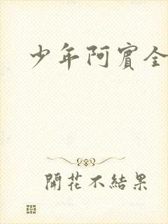 少年阿宾全文封面
