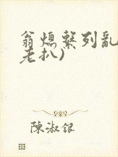 翁熄系列乱 (老扒)封面