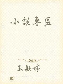小说专区