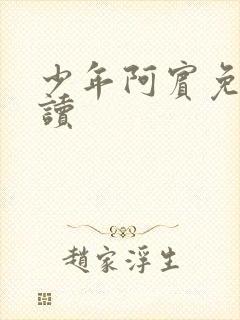 少年阿宾免费阅读封面