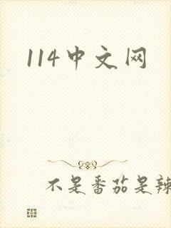 114中文网封面