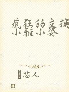 疯狂的交换小静小雅小姿