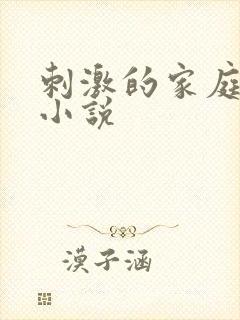 刺激的家庭乱仑小说