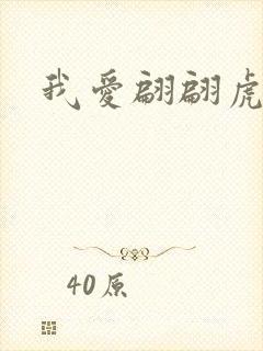 我爱翩翩虎少