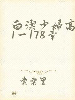 白洁少妇高义第1一178章