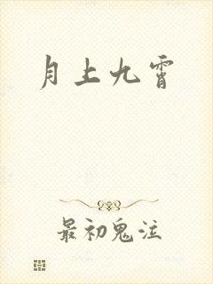 月上九霄封面