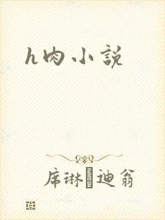 h肉小说