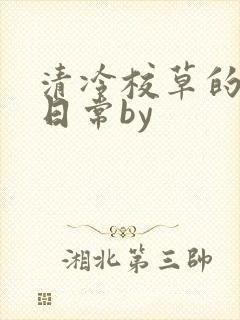 清冷校草的抹布日常by封面