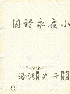 囚于永夜小说