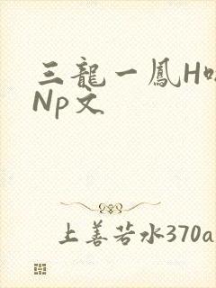 三龙一凤H啪肉Np文