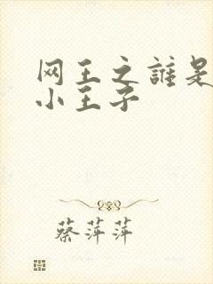 网王之谁是我的小王子