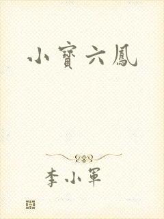 小宝六凤