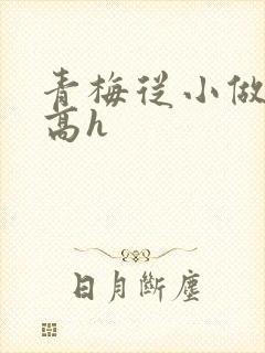 青梅从小做到大高h