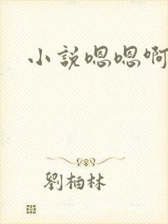 小说嗯嗯啊啊