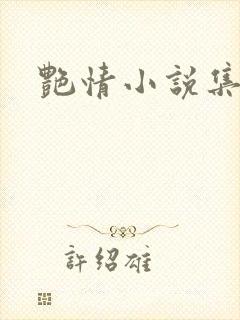 艳情小说集封面