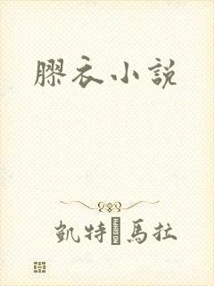 胶衣小说封面