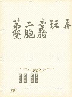 第二章玩弄少妇双胞胎封面