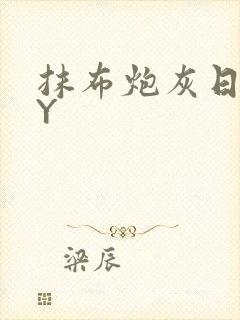 抹布炮灰日记BY封面