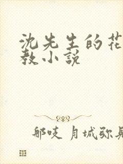 沈先生的花式管教小说
