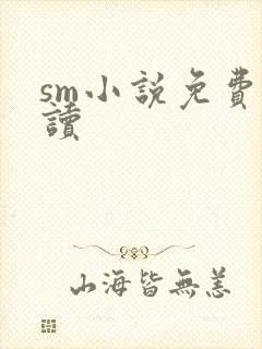 sm小说免费阅读