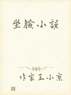 坐脸小说