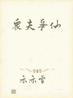 众夫争仙封面