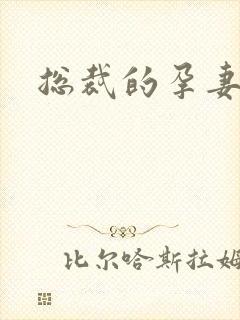 总裁的孕妻