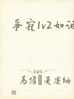 争宠1v2如酒