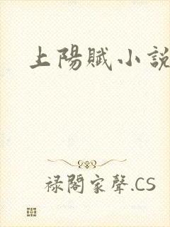 上阳赋小说封面