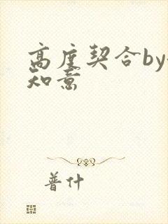 高度契合by洛知意封面