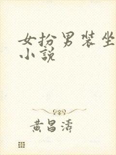 女扮男装坐江山小说