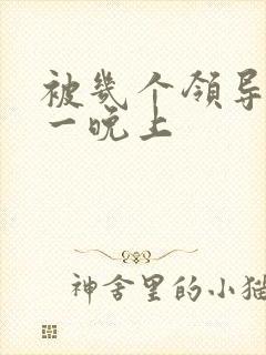 被几个领导玩弄一晚上封面