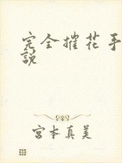 完全摧花手册小说封面