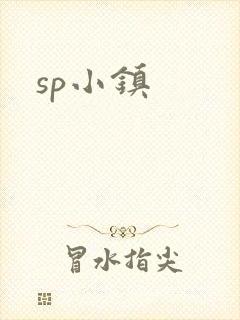 sp小镇封面