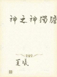 神之神独胆王封面