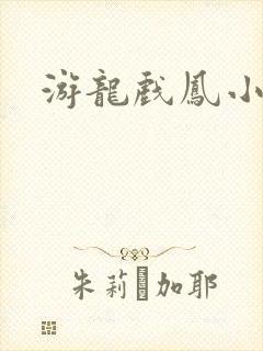 游龙戏凤小说
